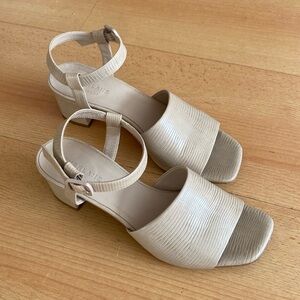 Everlane Block Heel Sandal in Beige